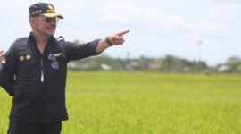 Rumah Syahrul Yasin Limpo digeledah KPK terkaid dugaan korupsi