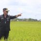Rumah Syahrul Yasin Limpo digeledah KPK terkaid dugaan korupsi