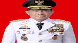 Menteri dalam Negeri M. Tito Karnavian