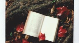 potret buku ditengah daun yang runtuh