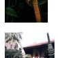 Potret Wisata di Kabupaten Jombang Jawa Timur