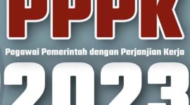Undang Undang Terbariu Tentang Dana Pensiun PPPK 