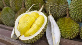 Dokumentasi Durian rasa Manis dan Daging Tebal