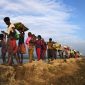 Potret pengungsi Rohingnya 
